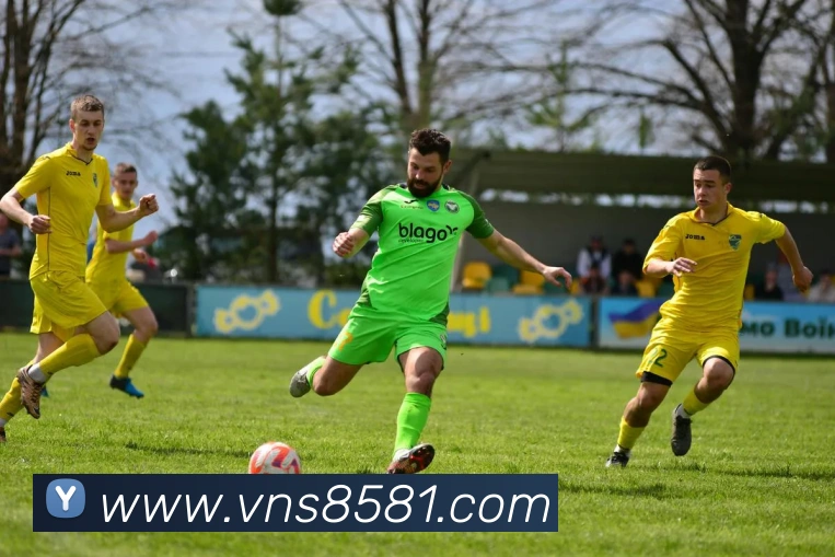 多媒体互动体验