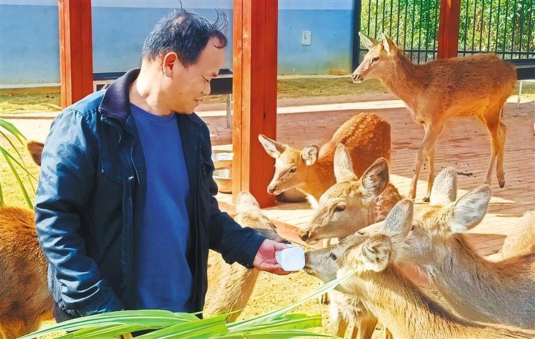 量发展产业调研】林下生金不朽情缘电子游戏